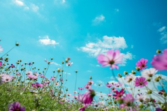 chi liu l rtCtc 4c0 unsplash 3