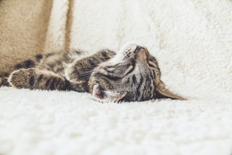 erik jan leusink O7ePLfRRlBs unsplash