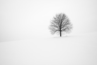 fabrice villard Du41jIaI5Ww unsplash