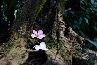 galen crout 574534 unsplash2
