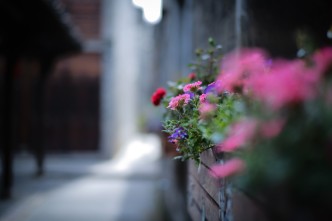 lo ken 626331 unsplash2