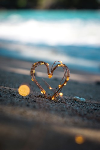 steve halama YRgPxwbvY0E unsplash