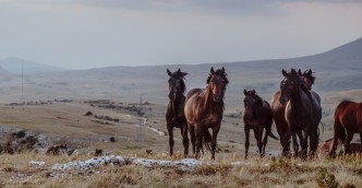 vladimir vujeva 378469 unsplash
